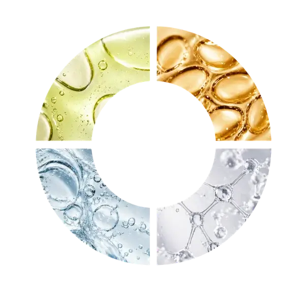 Ciclo SkinLoop da regra de 4 noites