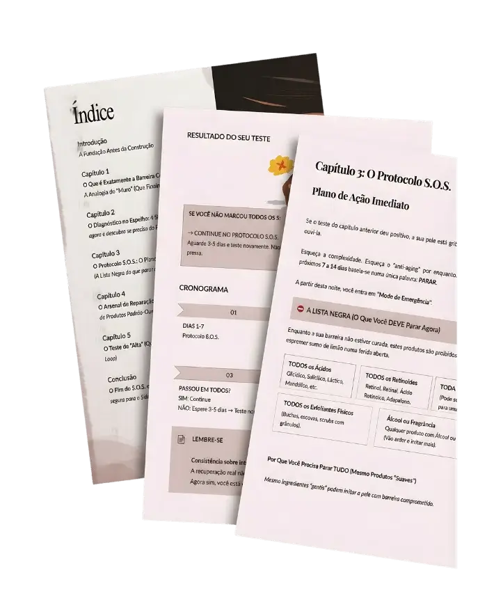 Página interna do Livro 1